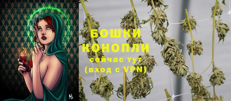 хочу наркоту  Улан-Удэ  МАРИХУАНА OG Kush 